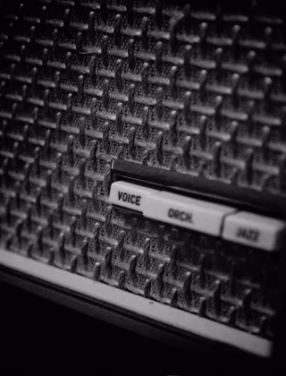 Vocal Processor Hardware